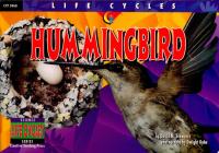 Hummingbird