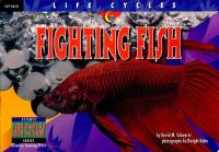 Fighting Fish