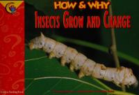 How and Why Insects Grow and Change