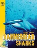 Hammerhead Sharks