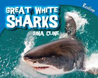 Great White Sharks