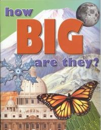 How Big?