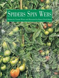 Spiders Spin Webs