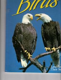 Florida's Fabulous Birds Land Birds: Their Stories