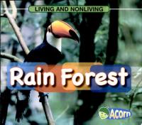 Rain Forest