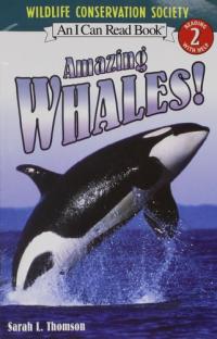 Trade Book Grade 1: Amazing Whales! (Journeys)