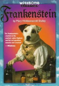 Wishbone Classic #07 Frankenstein