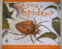 Reading Mastery - Are You a Spider? (READING MASTERY LEVEL VI)