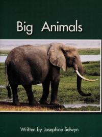 Big Animals