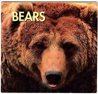Bears