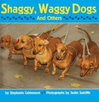 Shaggy, Waggy Dogs (and Others)