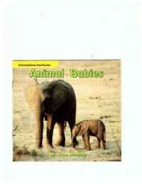 Animal Babies
