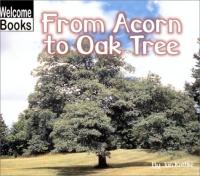 From Acorn to Oak Tree (Welcome Books: How Things Grow)