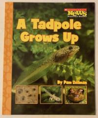 A Tadpole Grows Up
