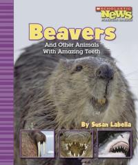 Beavers and Other Animals with Amazing Teeth