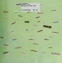 The Boy Who Loved Words