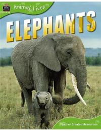 Elephants