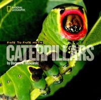 Face to Face with Caterpillars