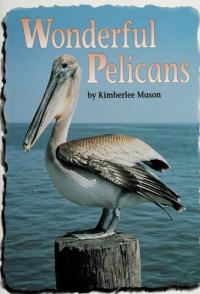 Wonderful Pelicans