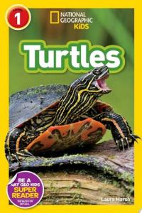 Turtles