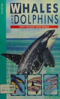 Whales and Dolphins