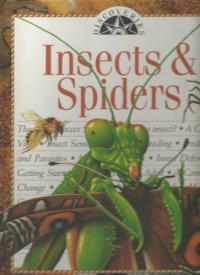 Insects & Spiders