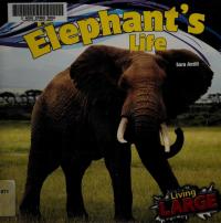 An Elephants Life