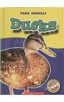 Ducks