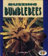 Buzzing Bumblebees