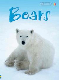 Bears (Beginners Nature - New Format)