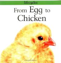 From Egg to Chicken