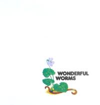 Wonderful Worms