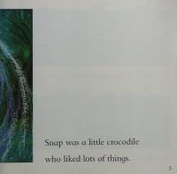 Snap, Reader Es Level 1 Book 18: Houghton Mifflin Early Success