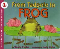 From Tadpole to Frog