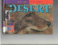 In the Desert (Look Once, Look Again)