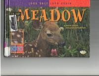 In the Meadow (Look Once, Look Again)