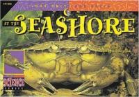 At the Seashore (Look Once, Look Again)