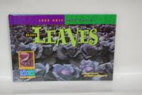 Plant Leaves (Look Once, Look Again)