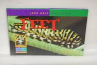Animal Feet