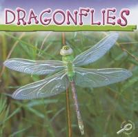 Dragonflies (Insects Discovery Library)