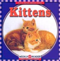 Kittens