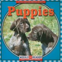 Puppies (Let's Read About Pets)