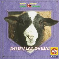 Ovejas