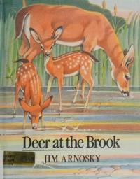 Deer at the Brook