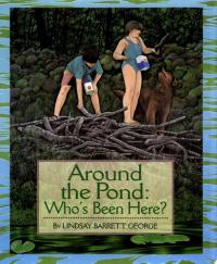 Around the Pond