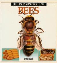 The Fascinating World Of- Bees