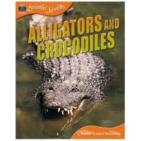 Animal Lives: (8 - Set) Second Series (QEB Animal Lives: Bees & Wasps, Orangutans, Eagles, Alligators & Crocodiles, Tortoises & Turtles, Giraffes, Sharks, Bears)