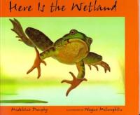 Here is the Wetland