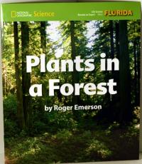 Become an Expert Plants in a Forest - Florida