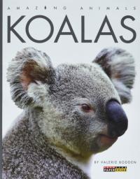 Koalas